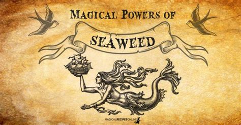 Witchcraft seaweed the defense